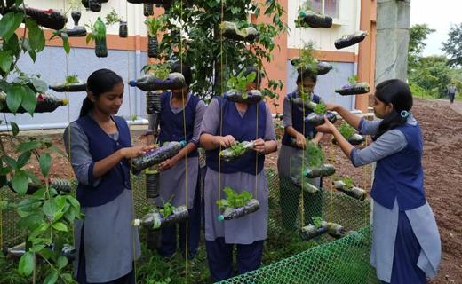 Sirsi college